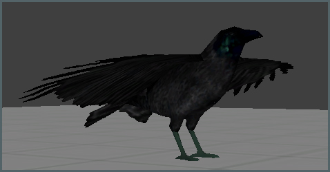Crow Model