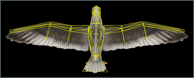 Seagull's Physics Boundaries