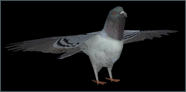 Pidgeon Model