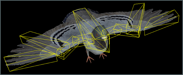 Pidgeon's Physics Boundaries