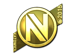 teamenvyus_gold_large
